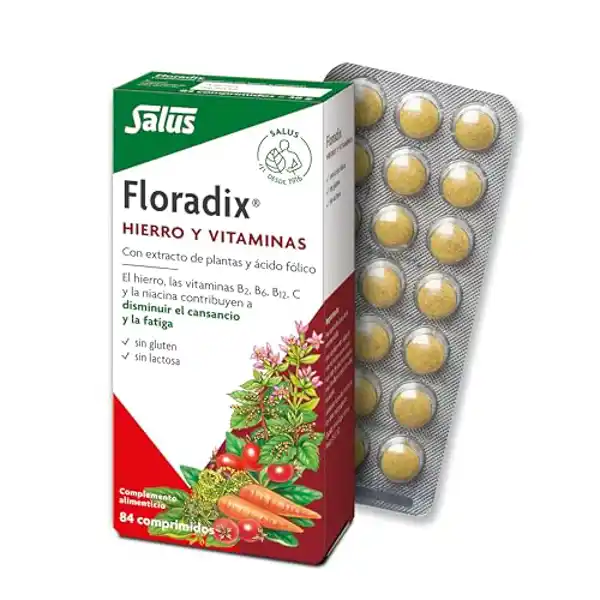 Salus Floradix (84 uds)