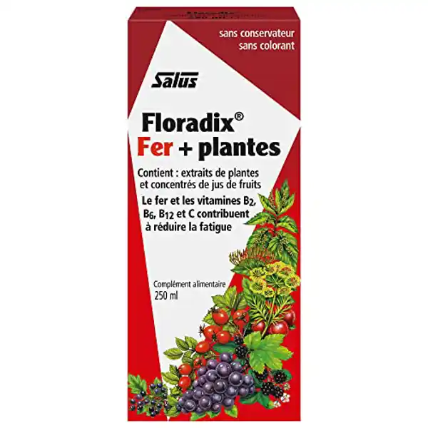 Salus Floradix 250 ml