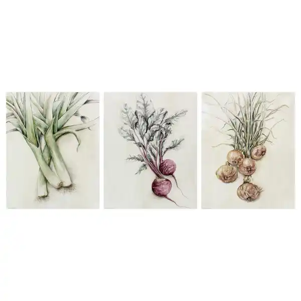 Lámina  verduras rústicas BILD 