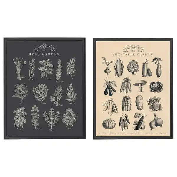 Póster motivos vegetales KNOPPÄNG