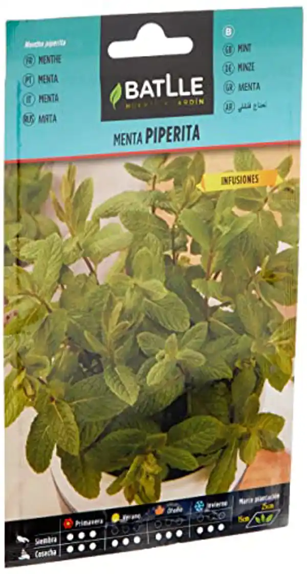 AMAZON | Semillas Menta Piperita