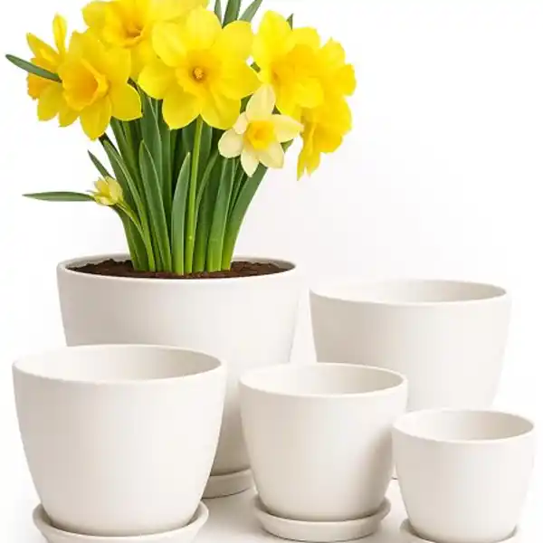Con platillos para interior