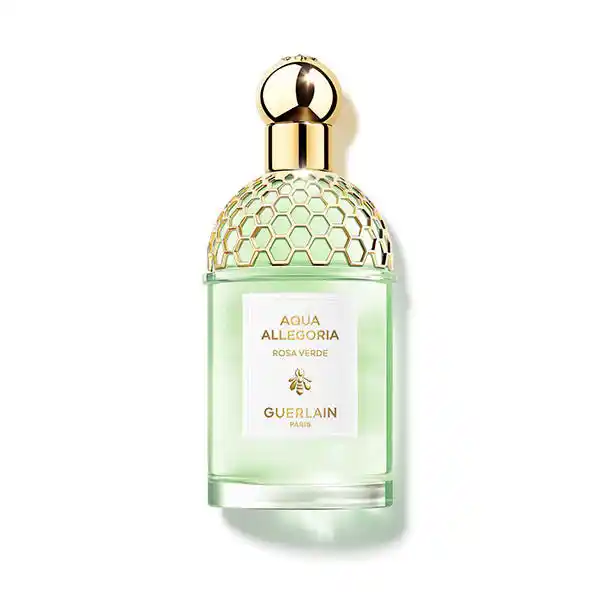 Perfume Aqua Allegoria Rosa Verde